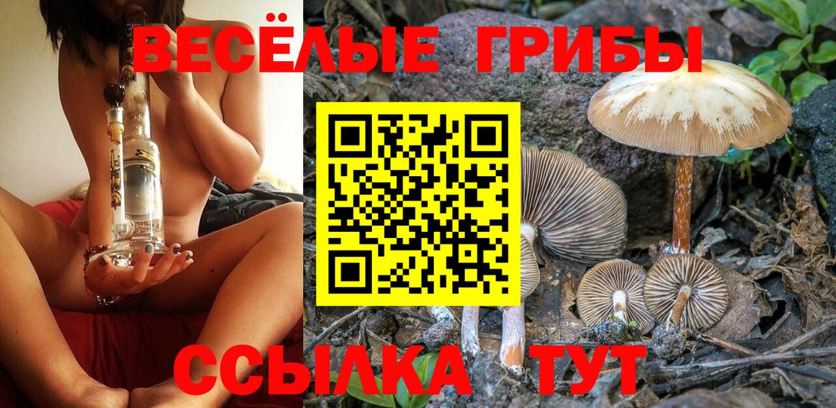 Галлюциногенные грибы Cubensis  Псилоцибиновые грибы Psilocybine cubensis  Краснокаменск  Вход с VPN 